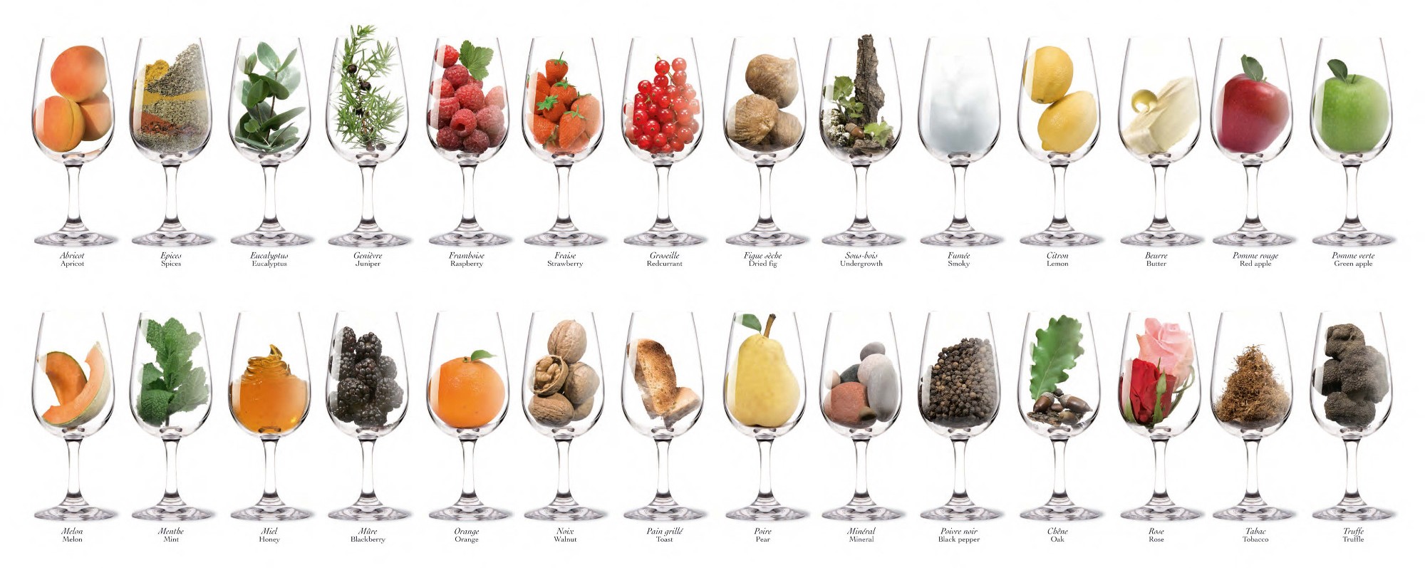 Wine Aromas