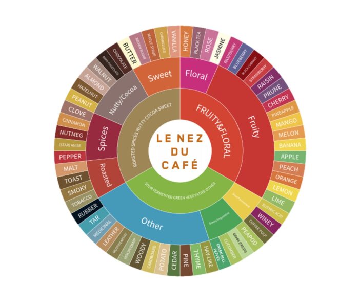 Kahve Eğitim Koku Seti / Le Nez du Café 2.0 (60 Aromas)